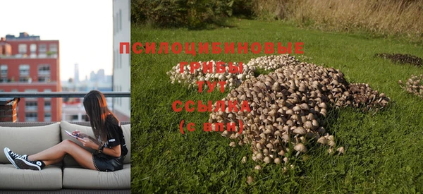 гашиш Няндома