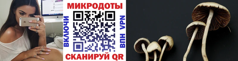 Купить где  Пермь  Псилоцибиновые грибы GOLDEN TEACHER 