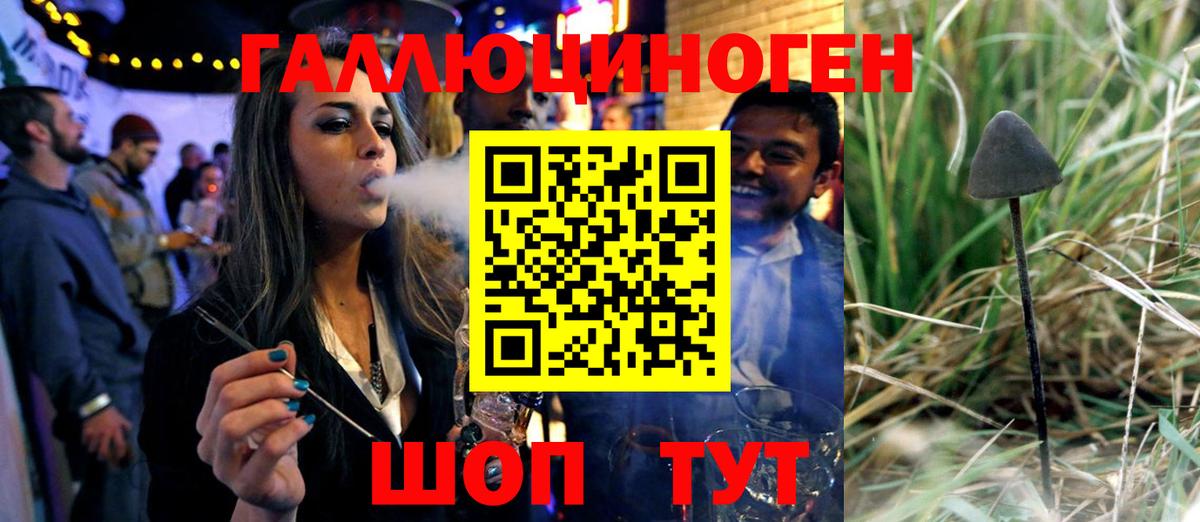 Галлюциногенные грибы MAGIC MUSHROOMS  Вход с VPN  Псилоцибиновые грибы GOLDEN TEACHER  Пермь 